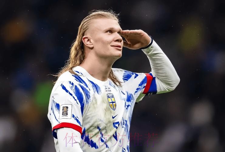 本届世界杯葡萄牙哈兰德小组赛形势全解析 本届世界杯葡萄牙哈兰德小组赛形势全解析